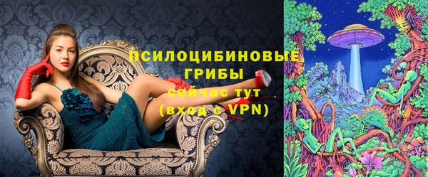 индика Арсеньев