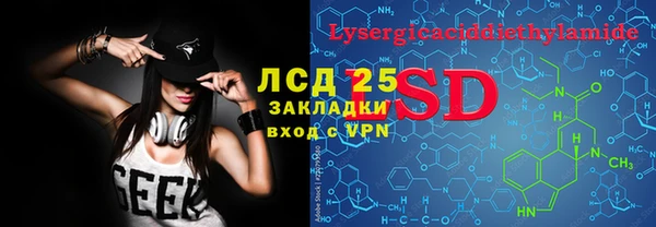 индика Арсеньев