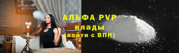 индика Арсеньев