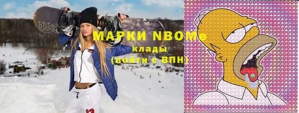 индика Арсеньев
