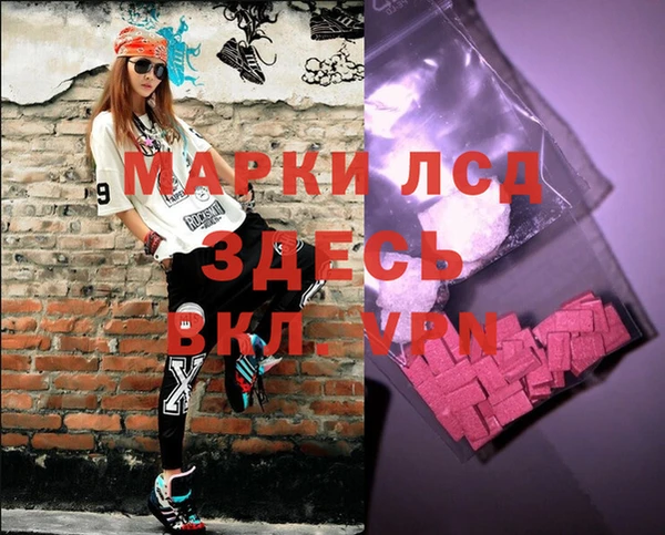 индика Арсеньев