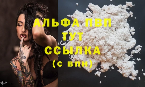 индика Арсеньев