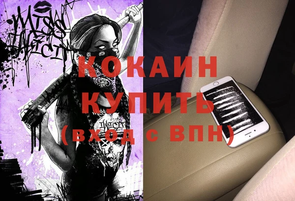 индика Арсеньев