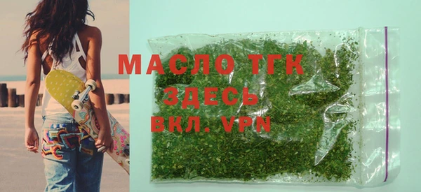 индика Арсеньев