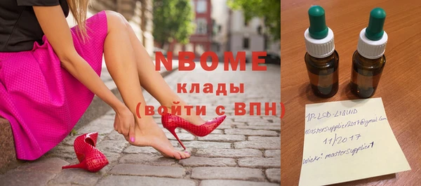 индика Арсеньев